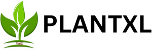 PLANTXL