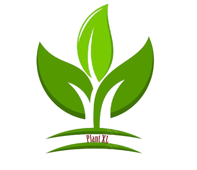 PLANTXL