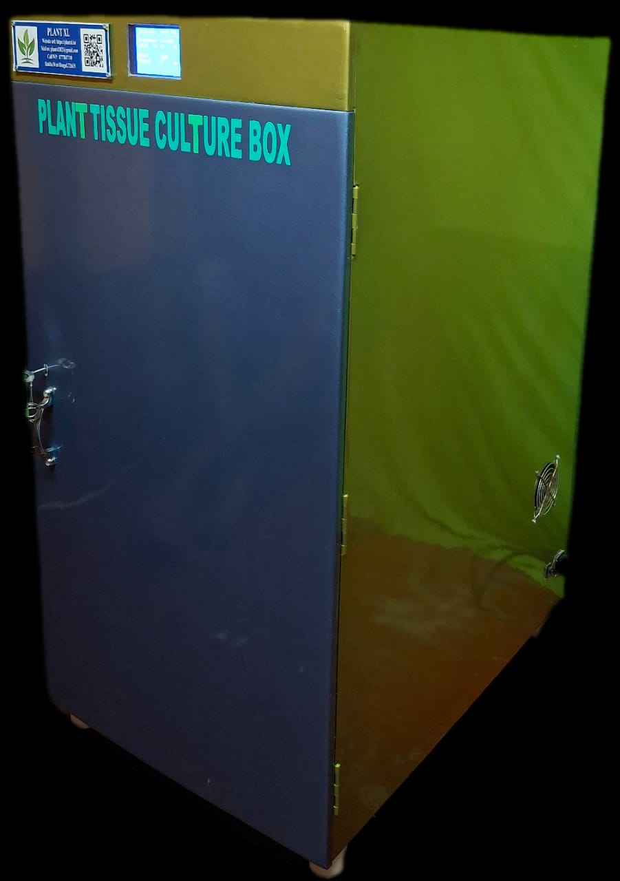 Big Plant Tissue Culture Box