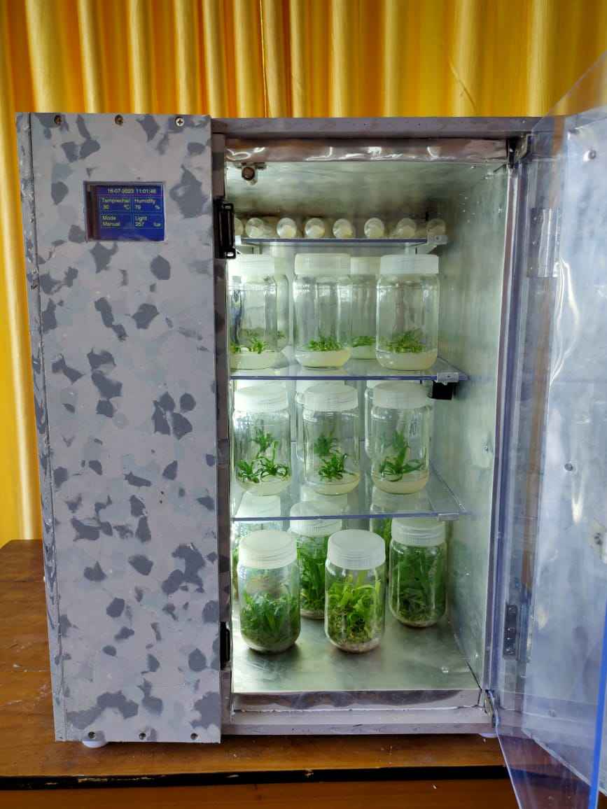 Tissue culture box Vertical Model