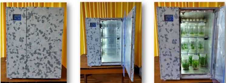 Tissue culture box Vertical Model