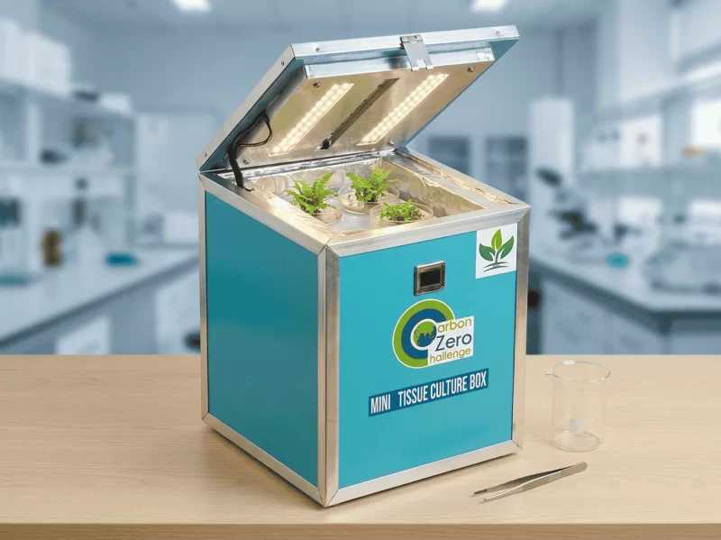 Tissue culture box Mini