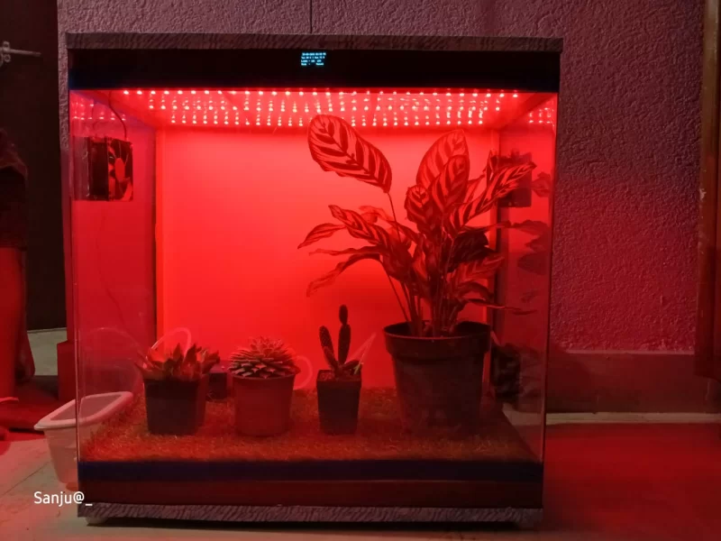 Mini Plant Growth Chamber